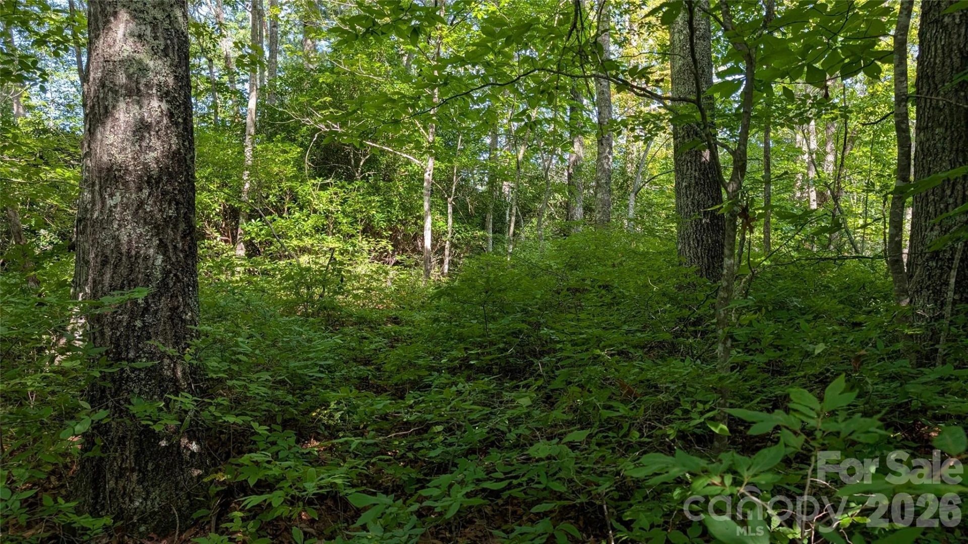 TBD Kelly Mountain Road #19 - Photo 5