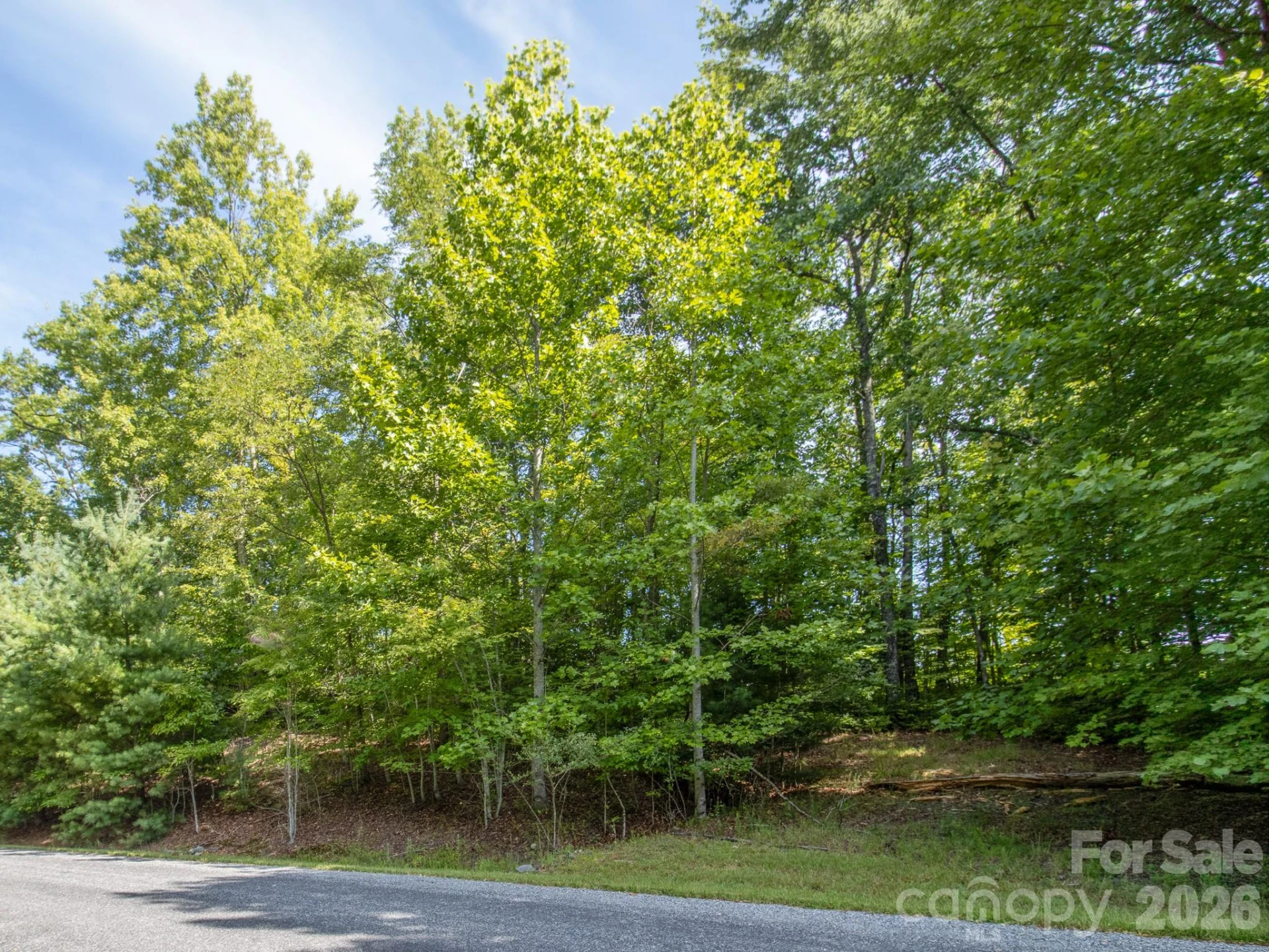 TBD Kelly Mountain Road #19 - Photo 7
