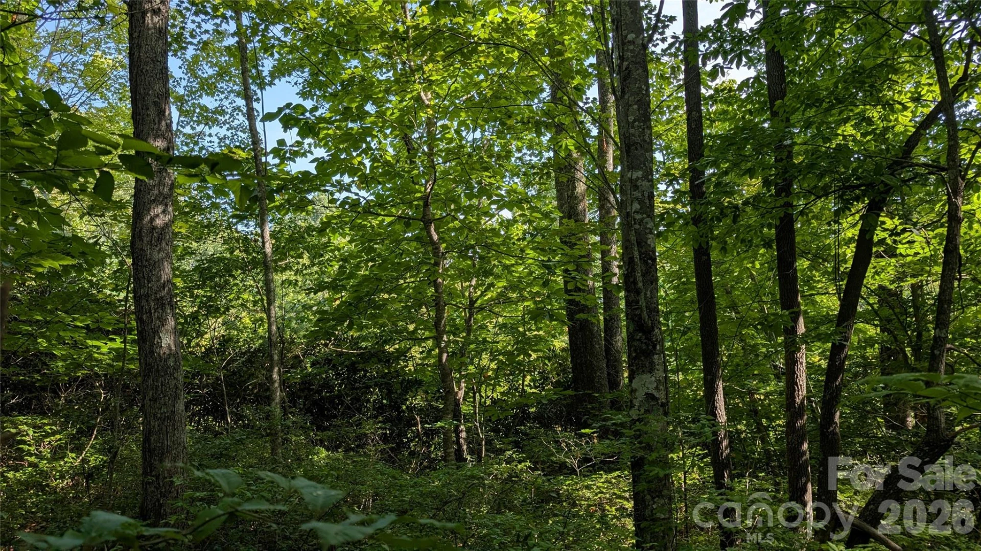 TBD Kelly Mountain Road #19 - Photo 9