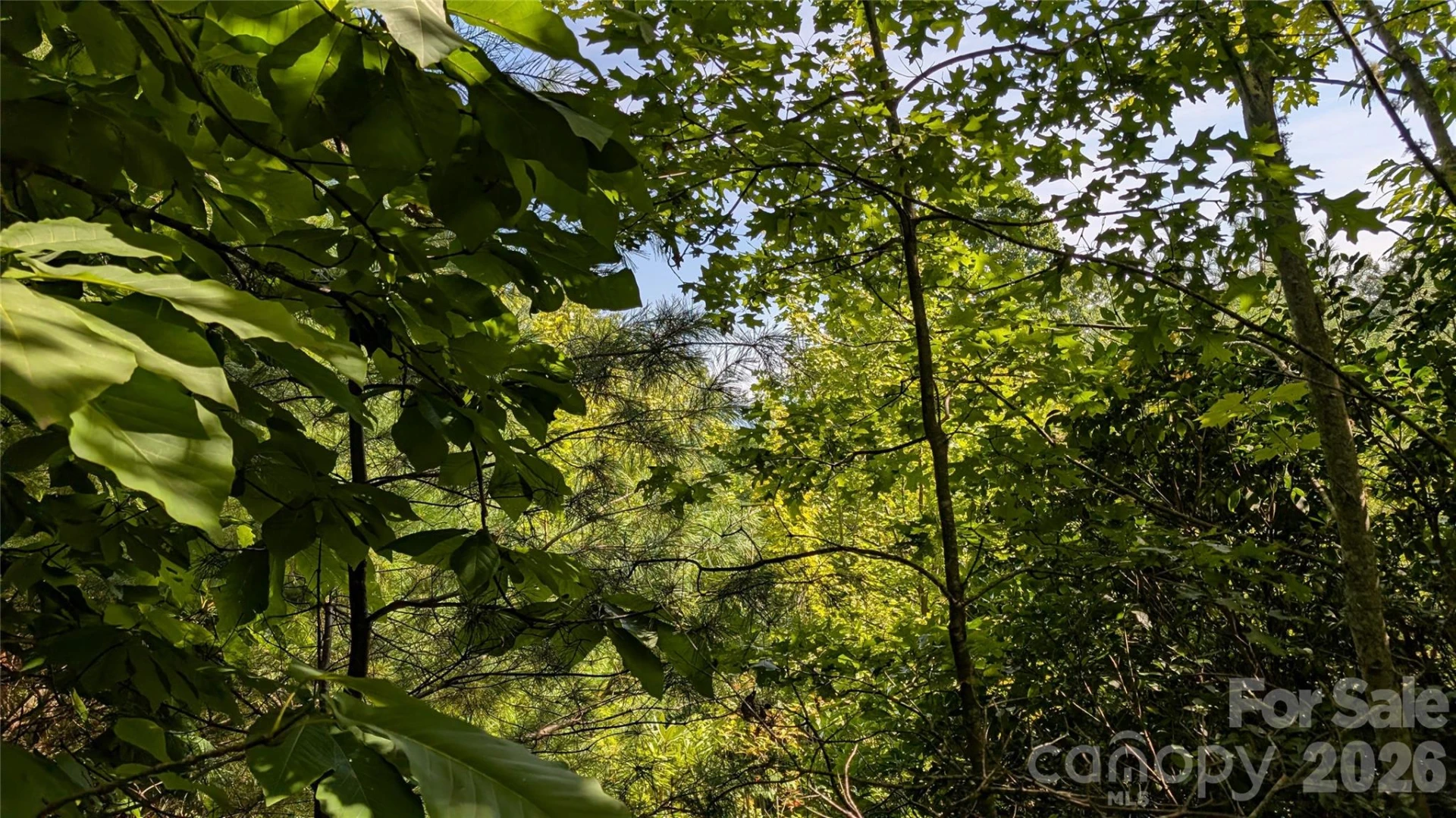 TBD Kelly Mountain Road #19 - Photo 10