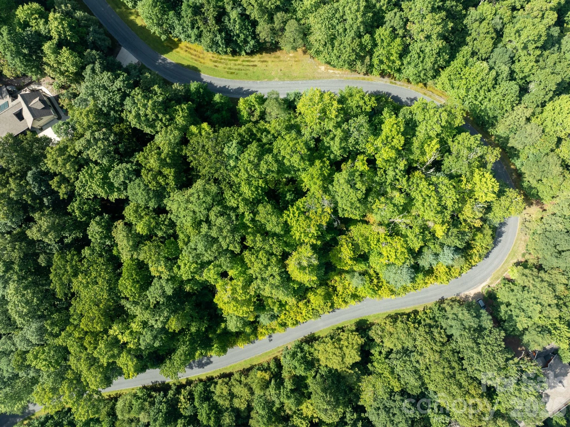 TBD Kelly Mountain Road #19 - Photo 12
