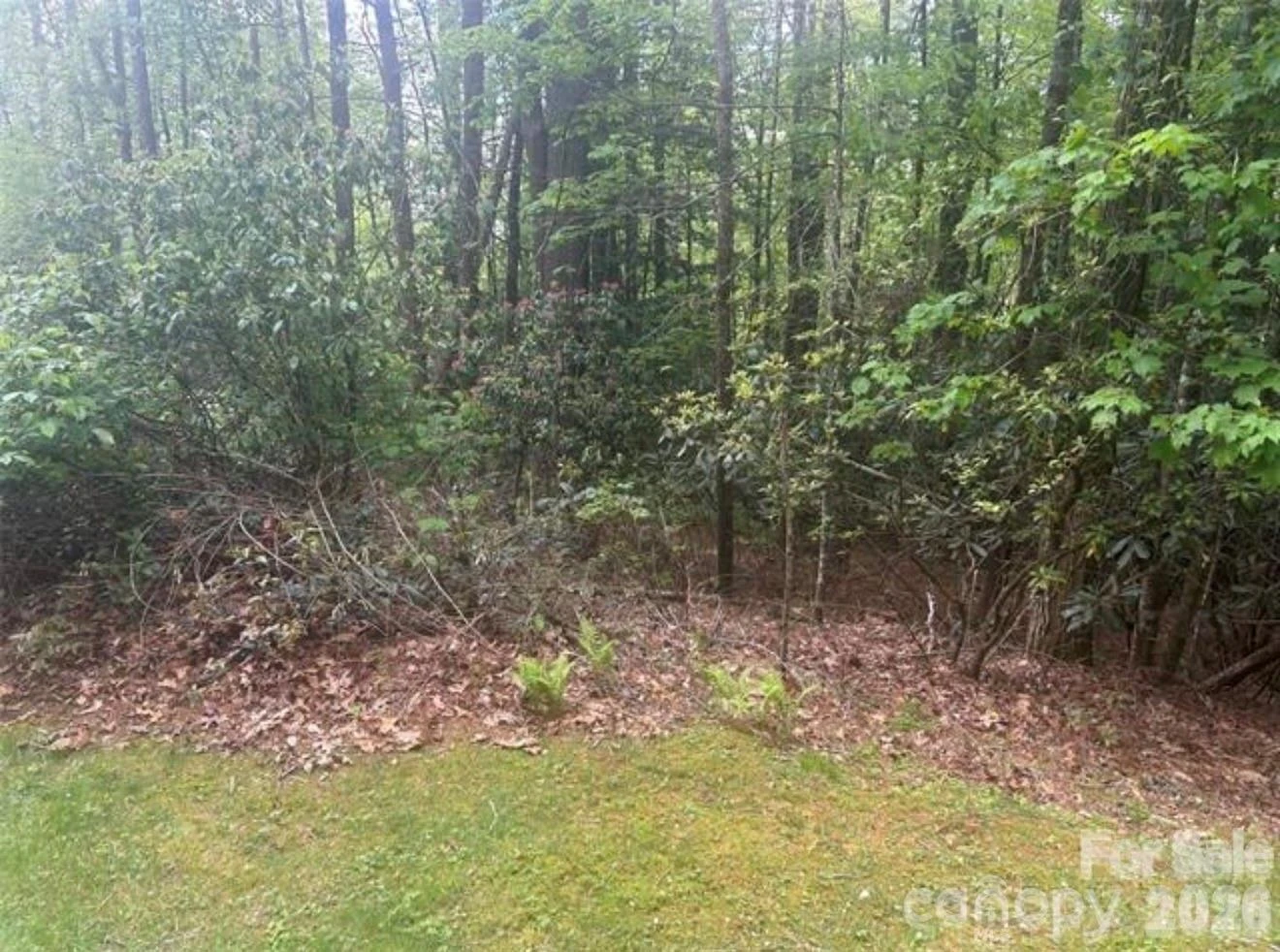 TBD Upper Whitewater Road - Photo 2