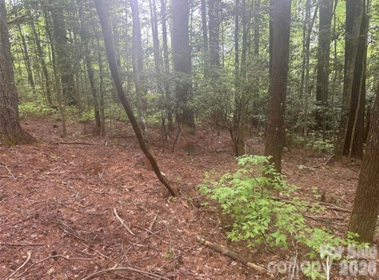 TBD Upper Whitewater Road - Photo 4