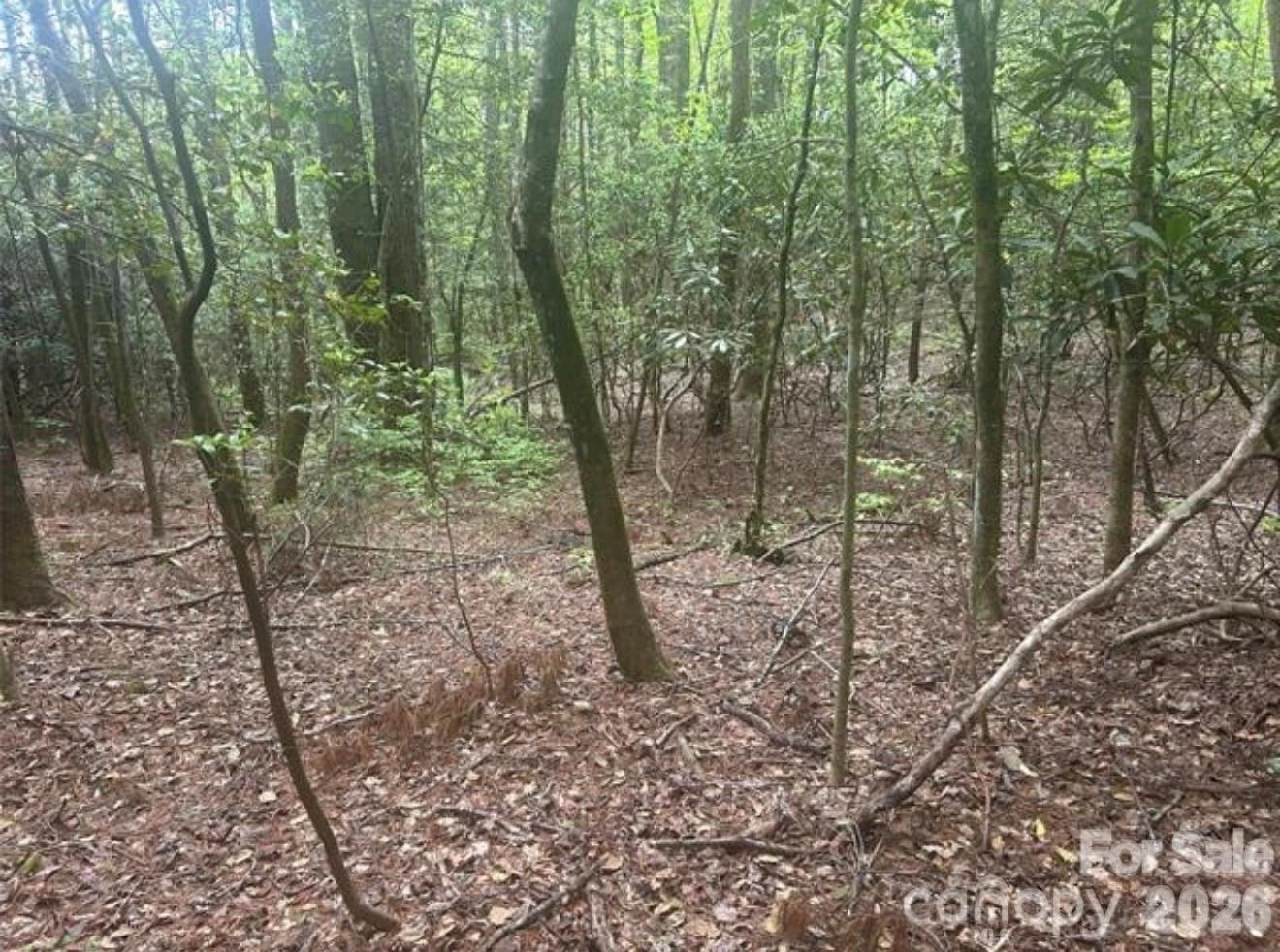 TBD Upper Whitewater Road - Photo 5