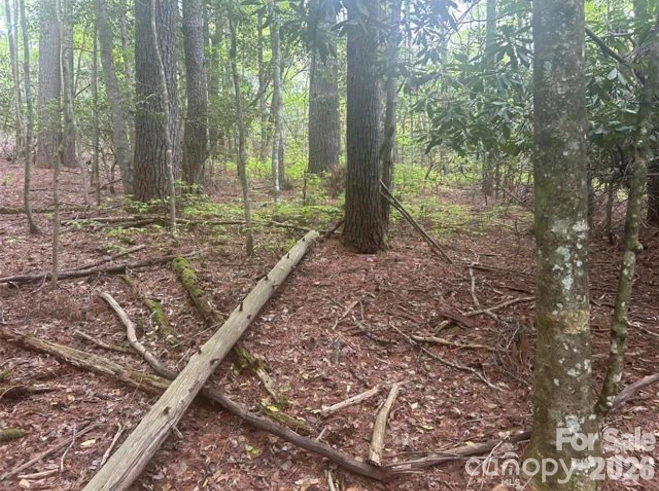 TBD Upper Whitewater Road - Photo 6