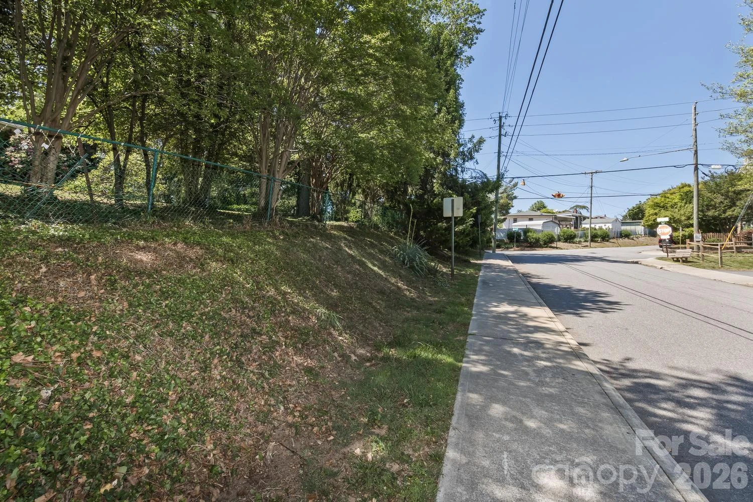 999999 Mount Clare Avenue - Photo 6