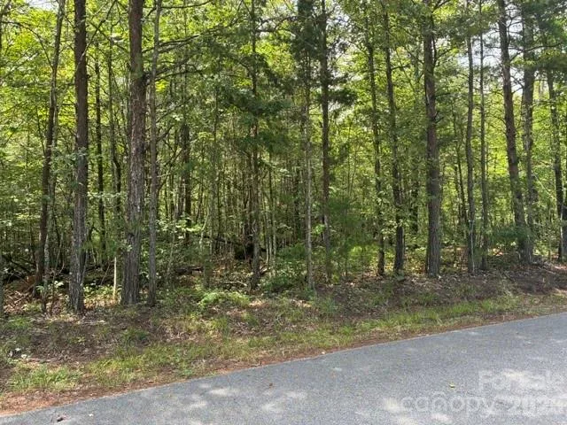 Lot 33 Justice Drive, Lake Lure, NC, 28746