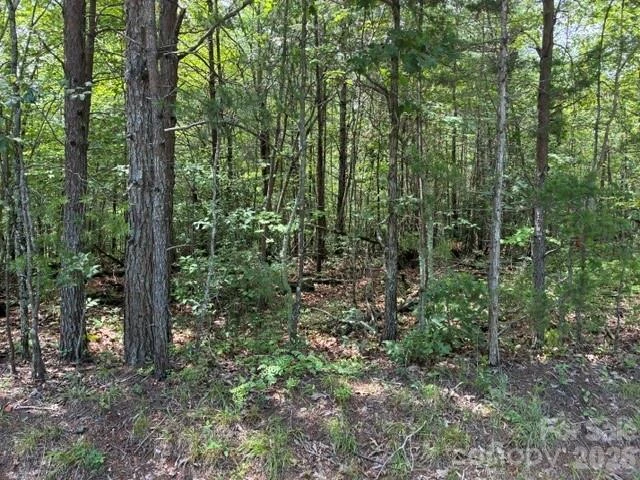 Lot 33 Justice Drive #33 - Photo 2