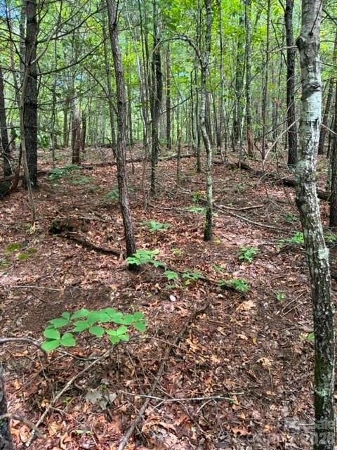 Lot 33 Justice Drive #33 - Photo 4