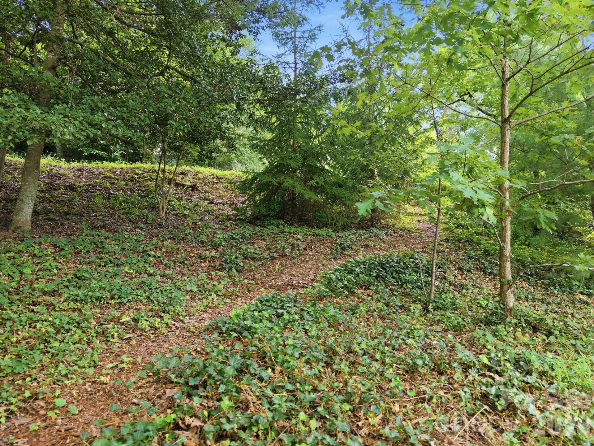 45 Woodvale Avenue - Photo 34