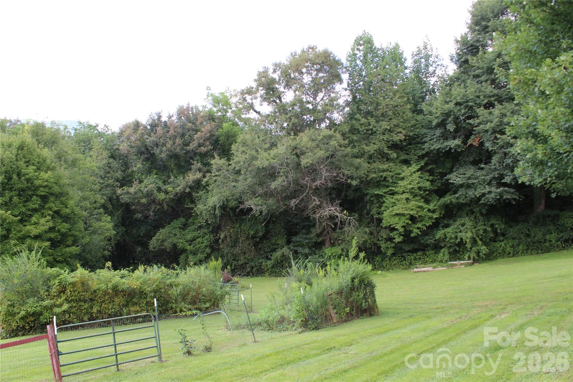 24 Karis Lane - Photo 24