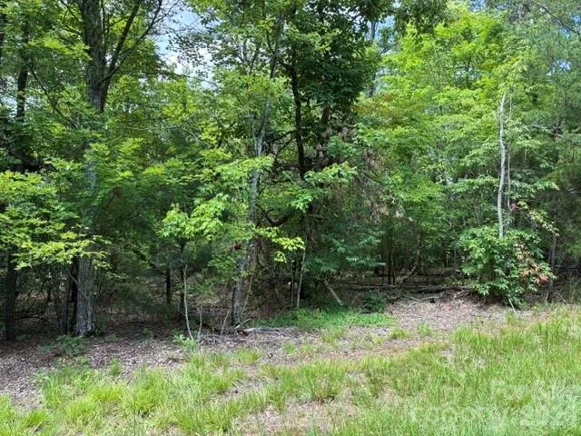 LOT 32 Justice Drive, Lake Lure, NC, 28746