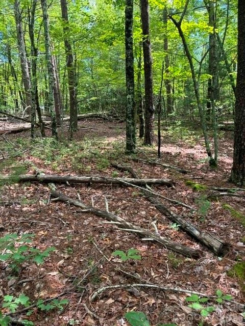 LOT 32 Justice Drive #32 - Photo 5