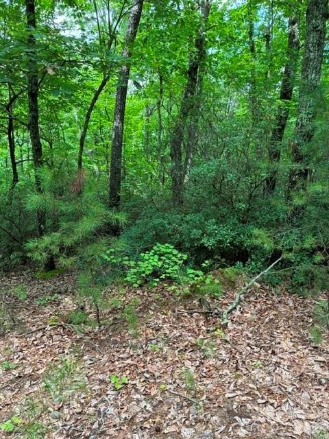 LOT 32 Justice Drive #32 - Photo 6