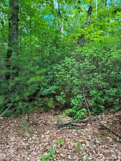 LOT 32 Justice Drive #32 - Photo 7