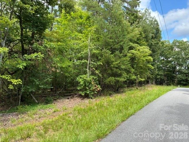 LOT 32 Justice Drive #32 - Photo 8