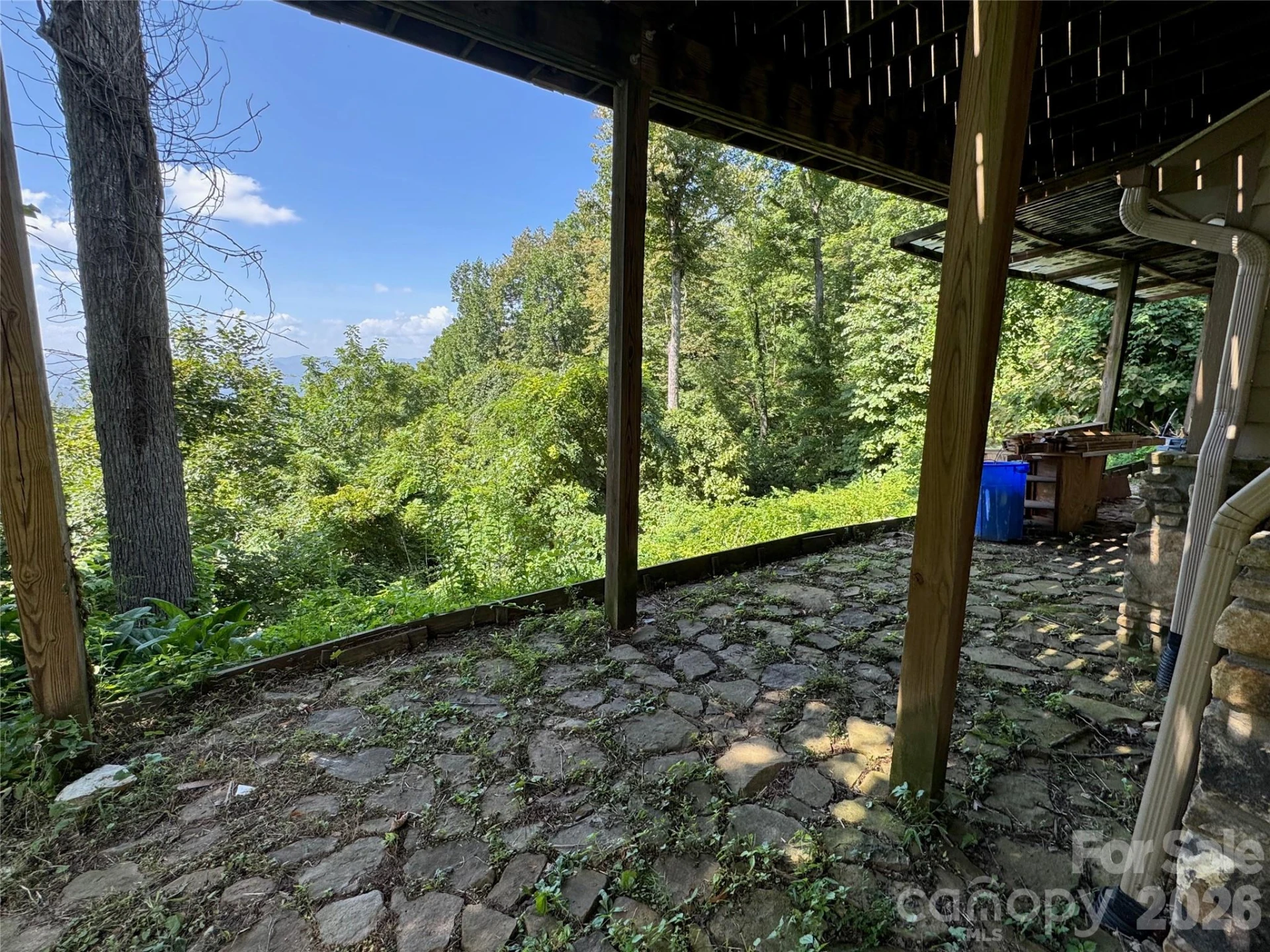 87 Island In The Sky Trail - Photo 12