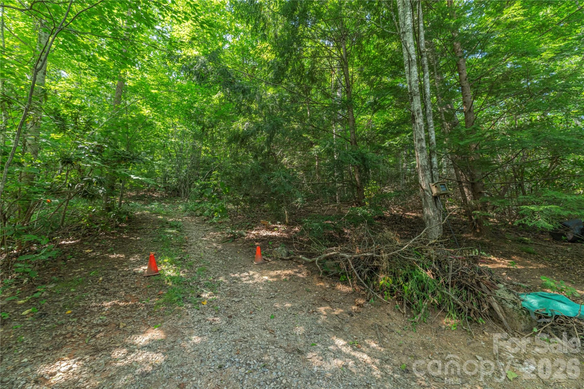 99999 Claru Ridge - Photo 2