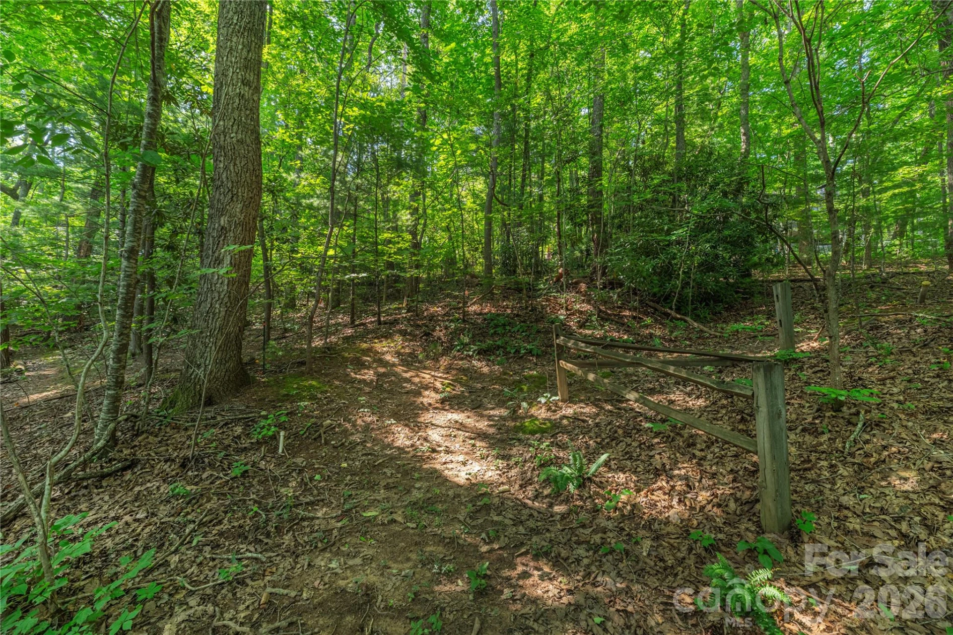 99999 Claru Ridge - Photo 3