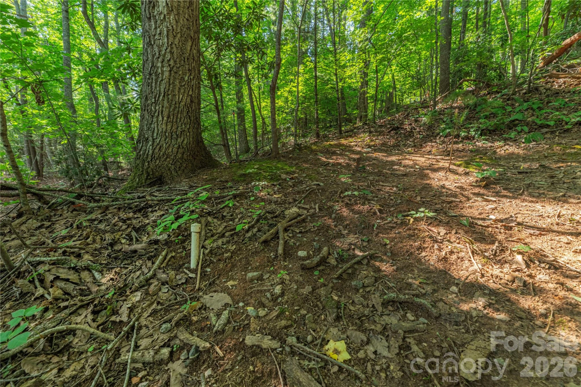 99999 Claru Ridge - Photo 4