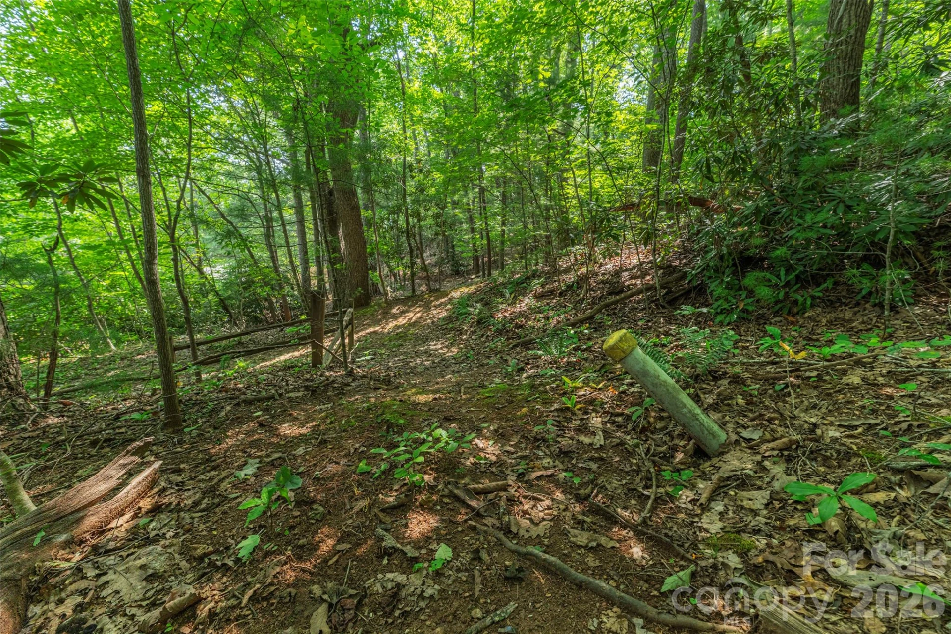 99999 Claru Ridge - Photo 5