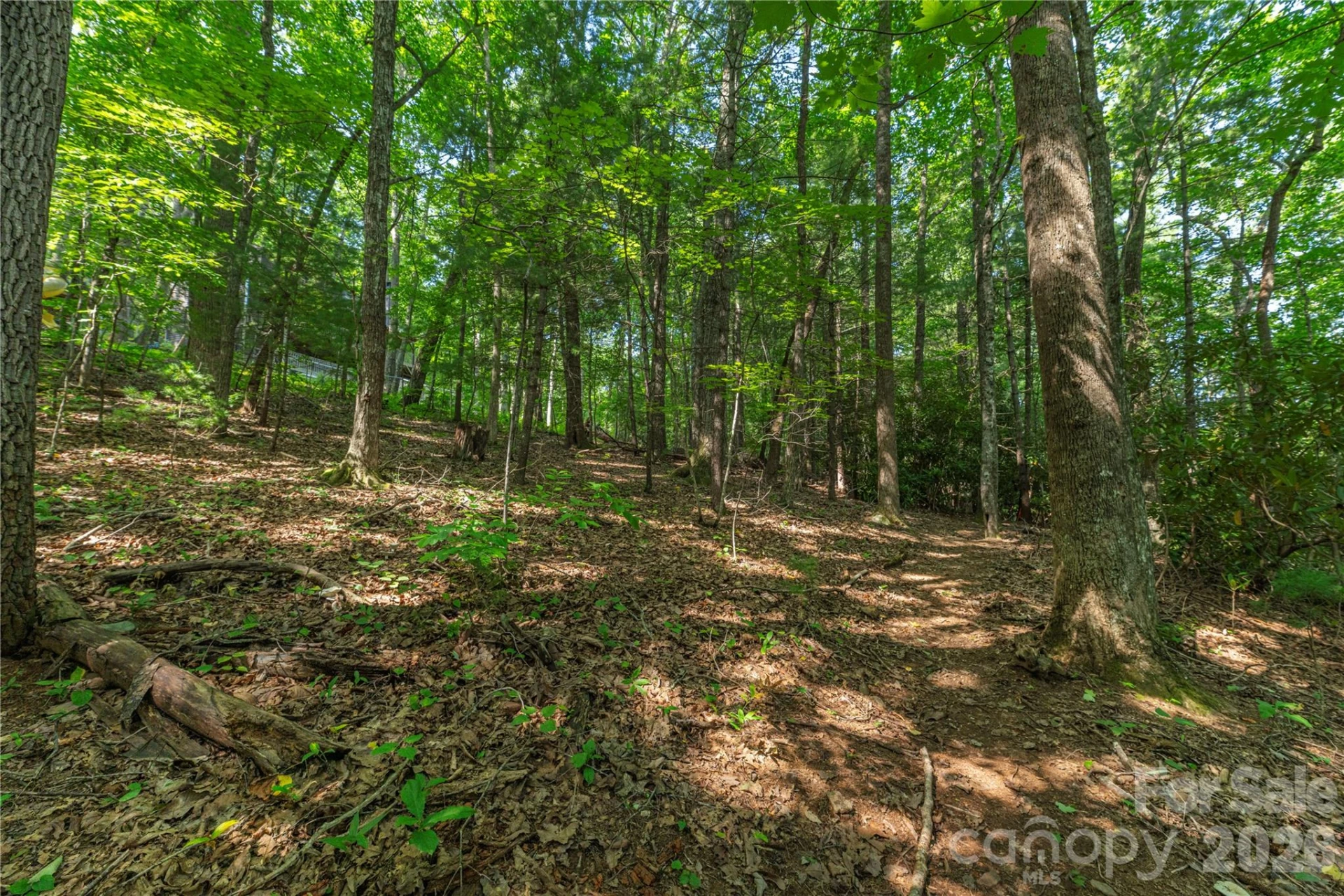 99999 Claru Ridge - Photo 6