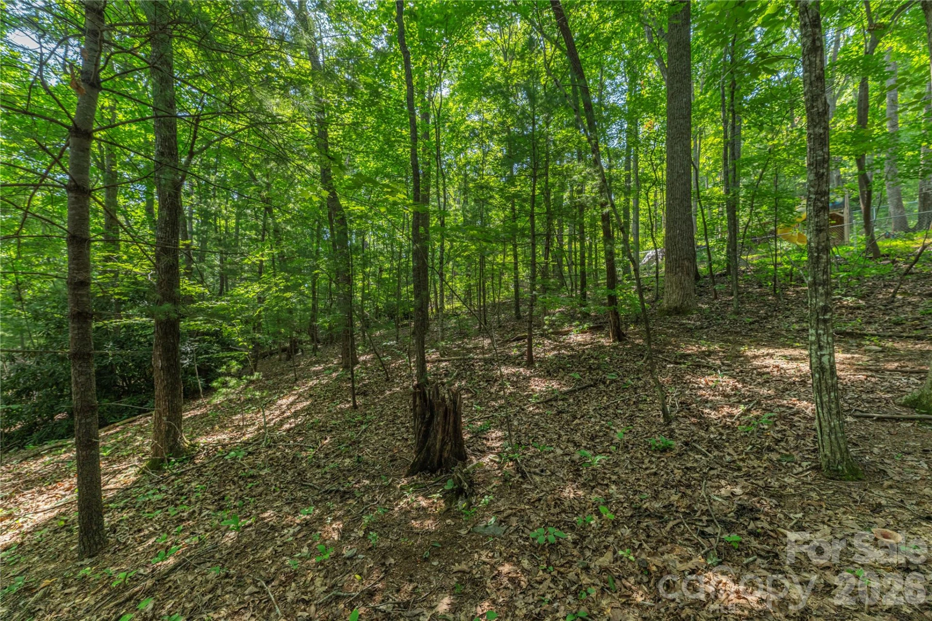 99999 Claru Ridge - Photo 7