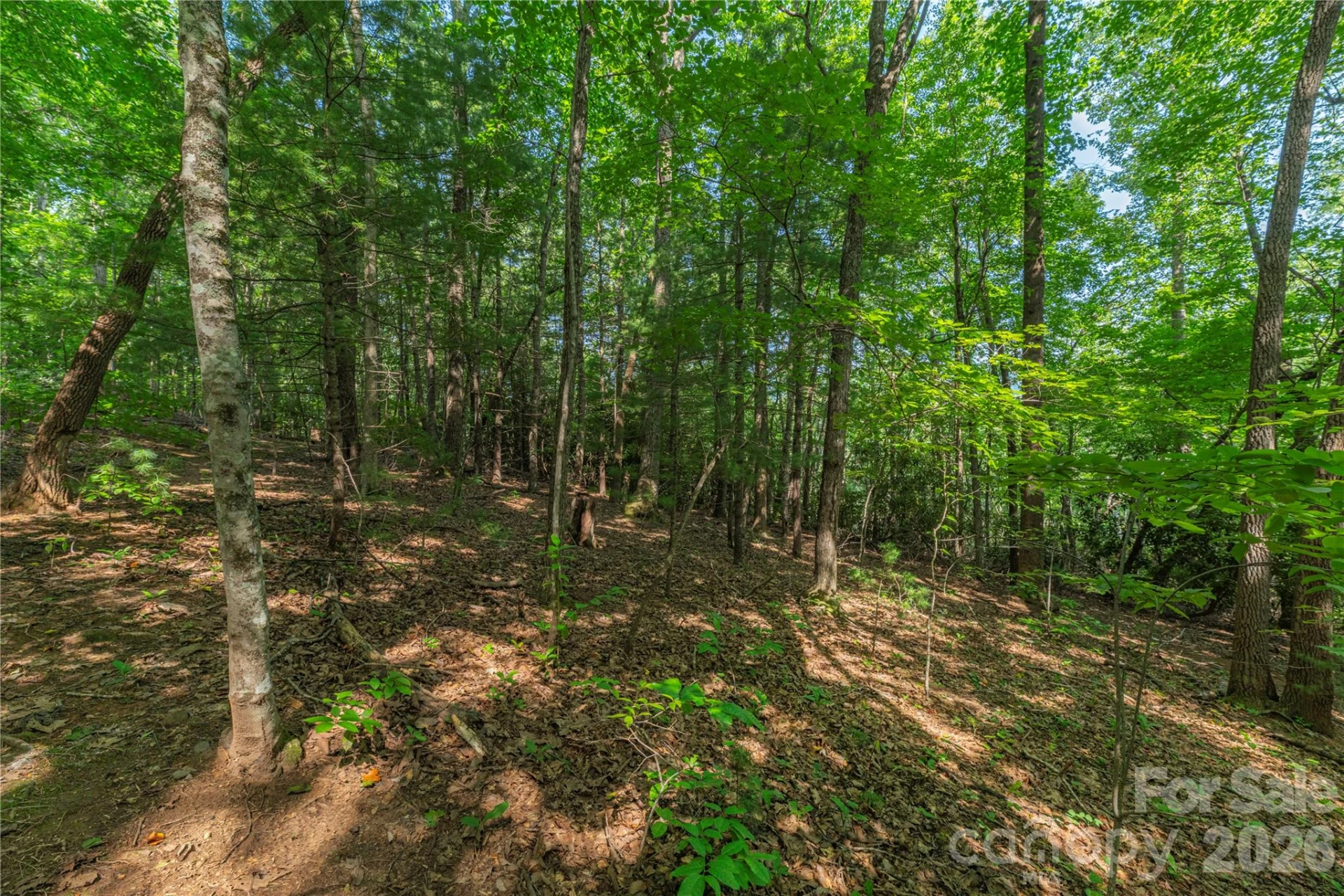 99999 Claru Ridge - Photo 8