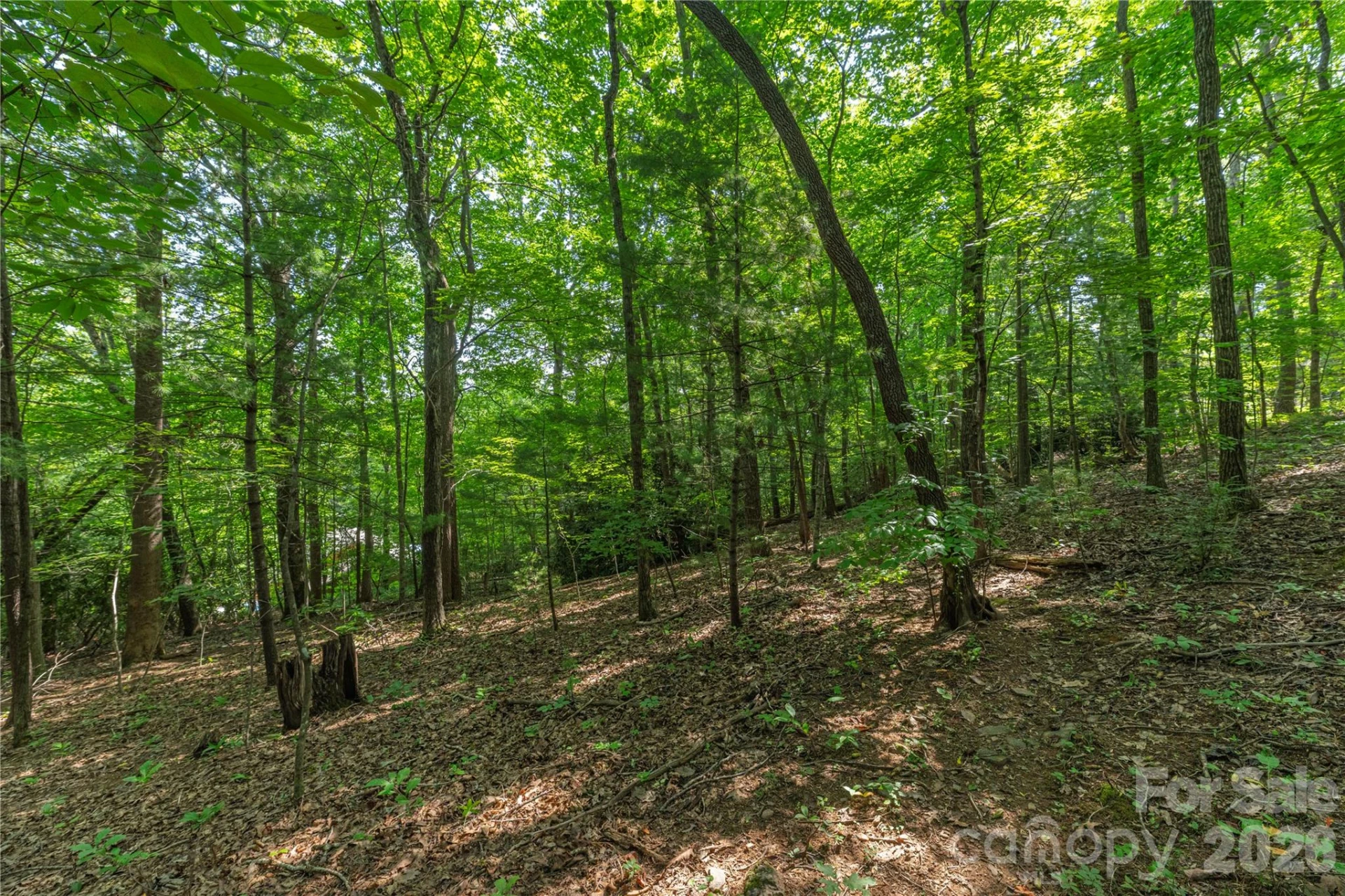 99999 Claru Ridge - Photo 9