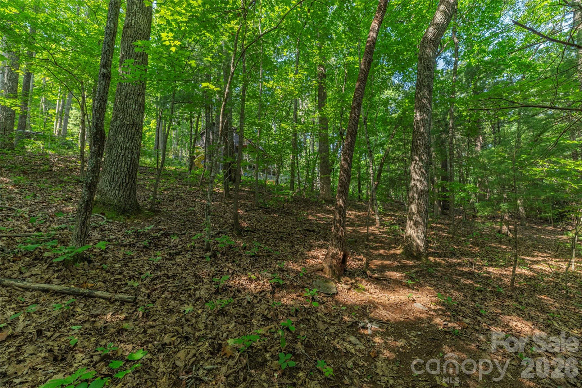 99999 Claru Ridge - Photo 10