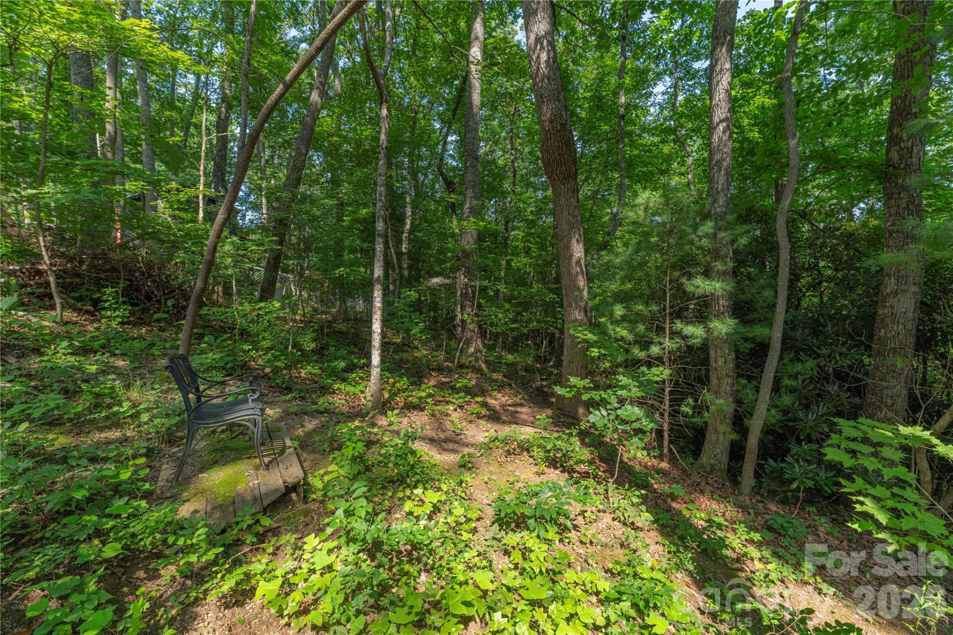 99999 Claru Ridge - Photo 12
