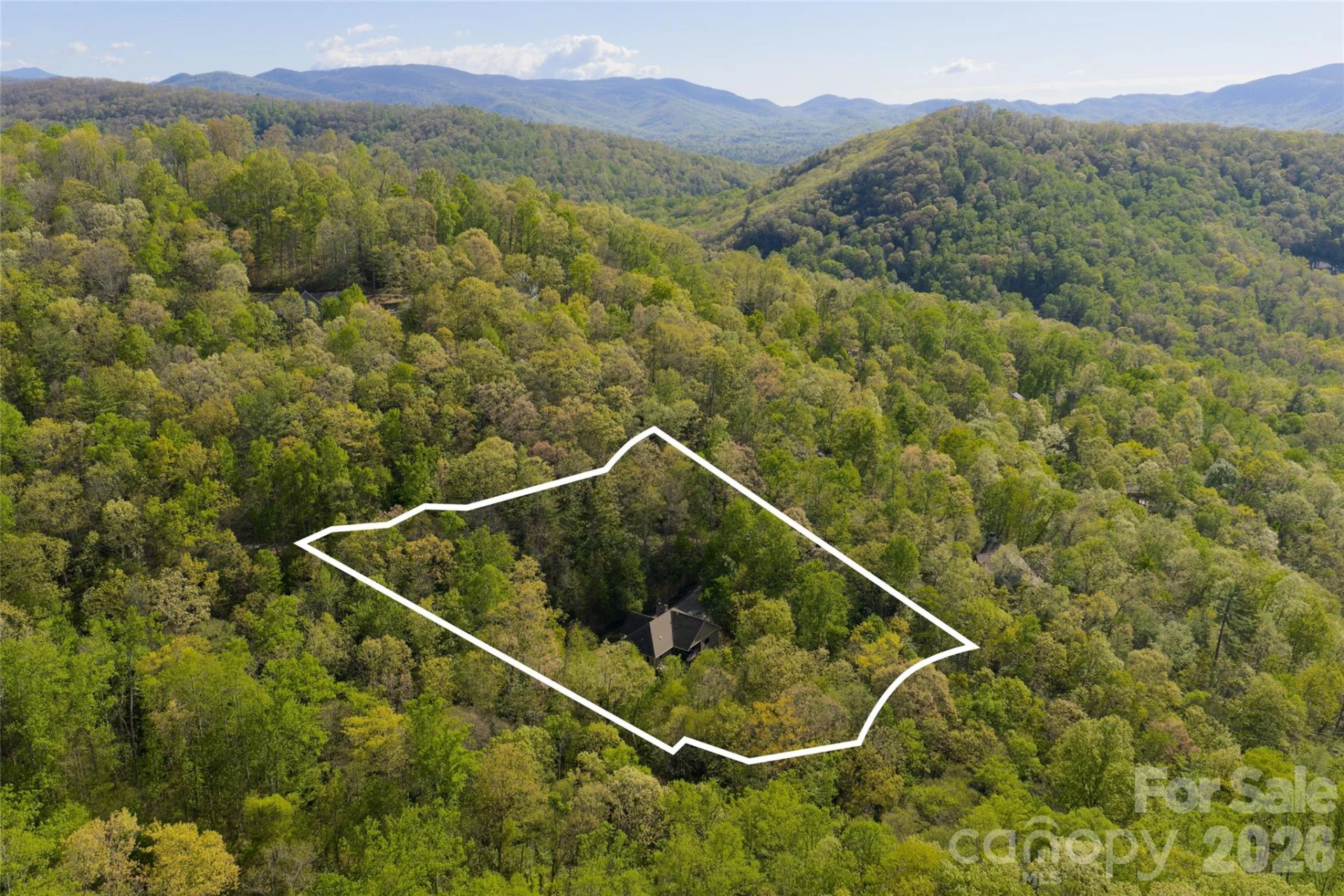 36 Snowshoe Drive - Photo 2