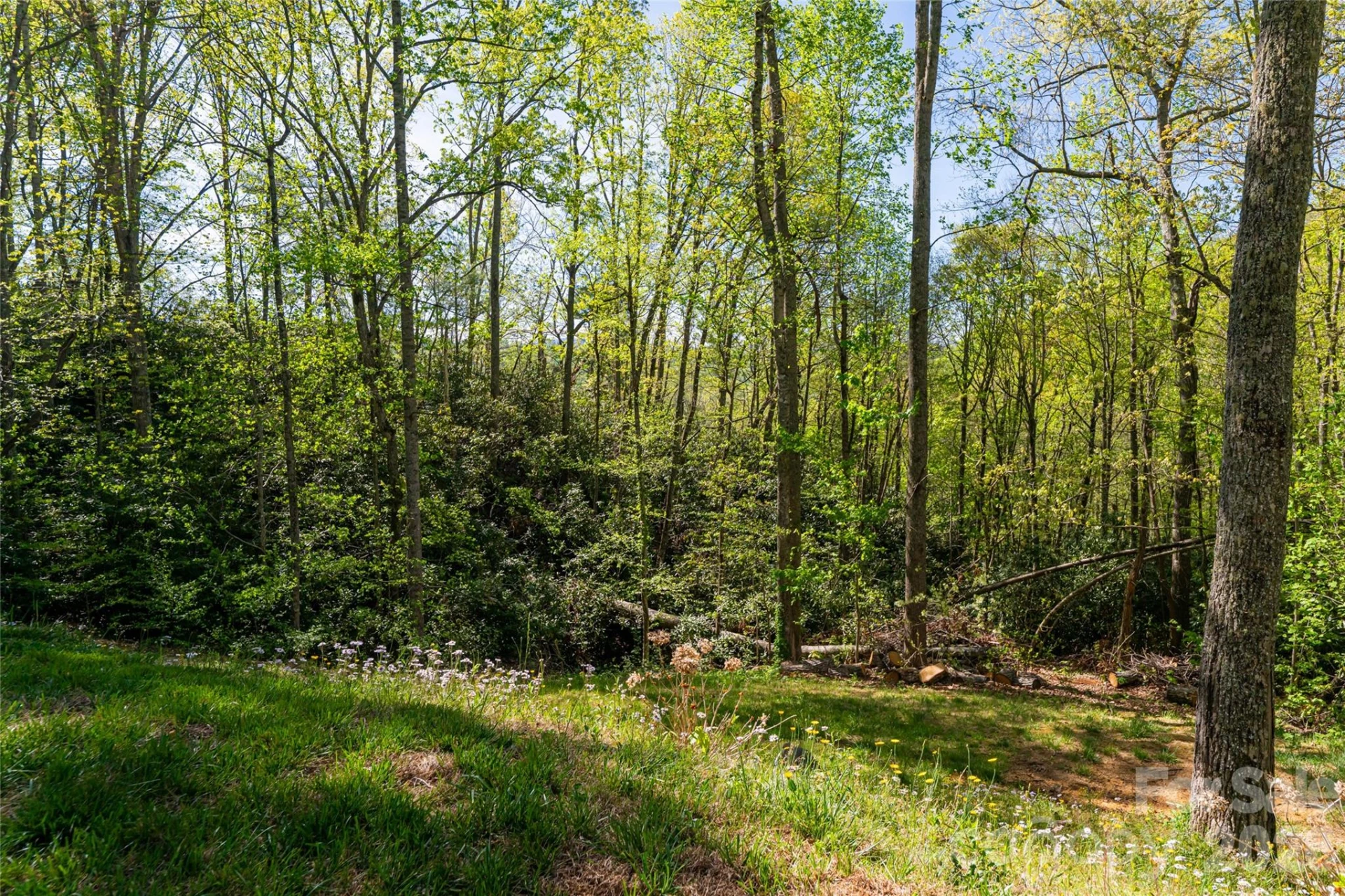 36 Snowshoe Drive - Photo 22