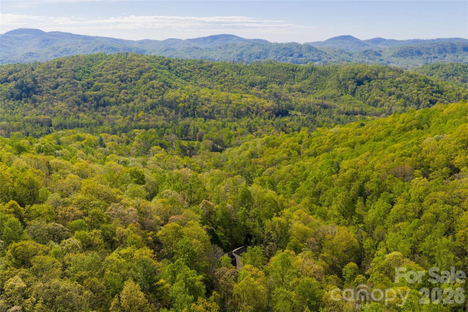 36 Snowshoe Drive - Photo 42