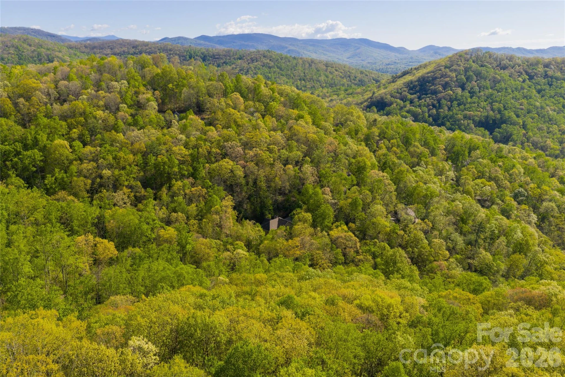 36 Snowshoe Drive - Photo 44