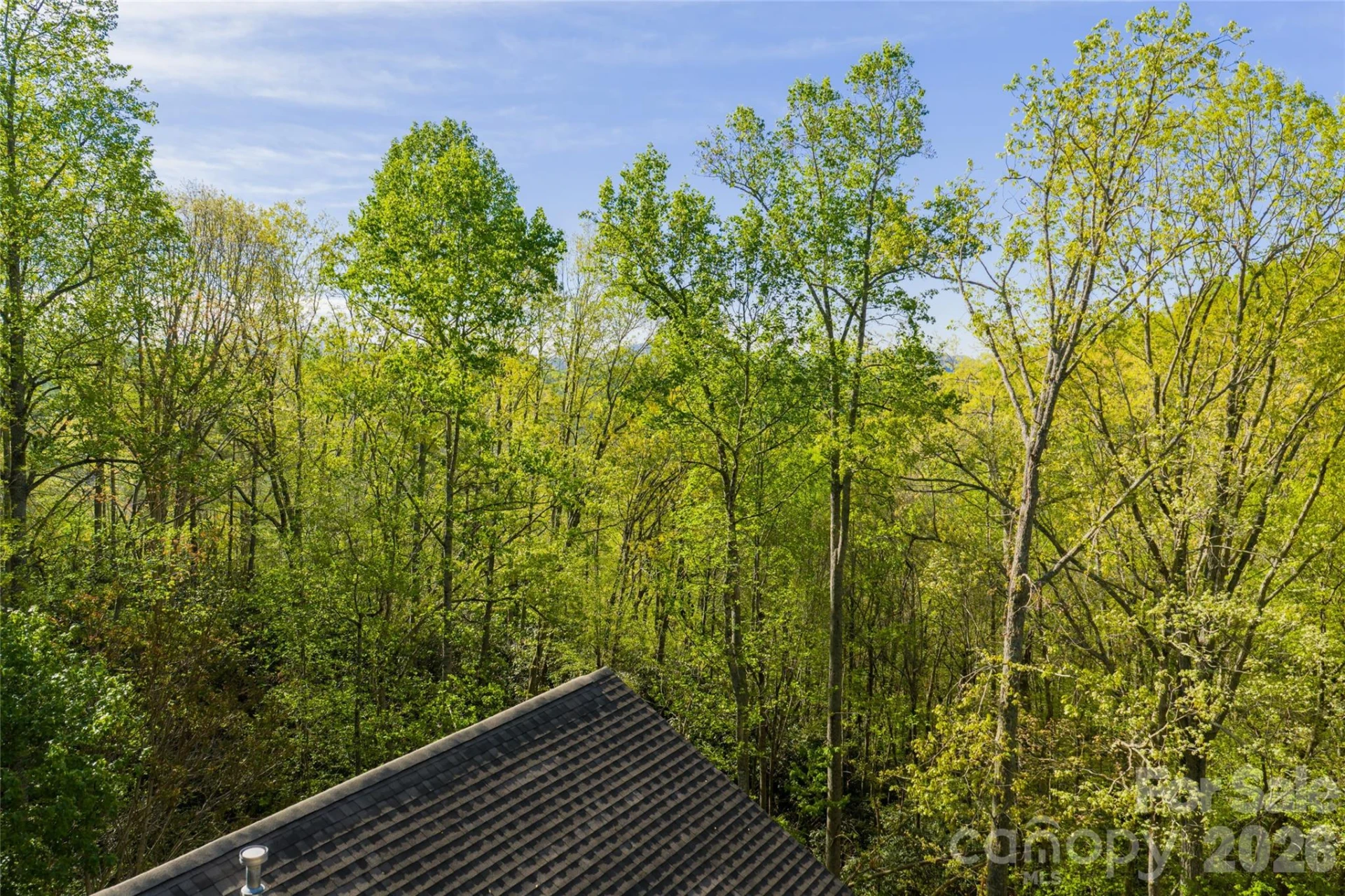 36 Snowshoe Drive - Photo 48