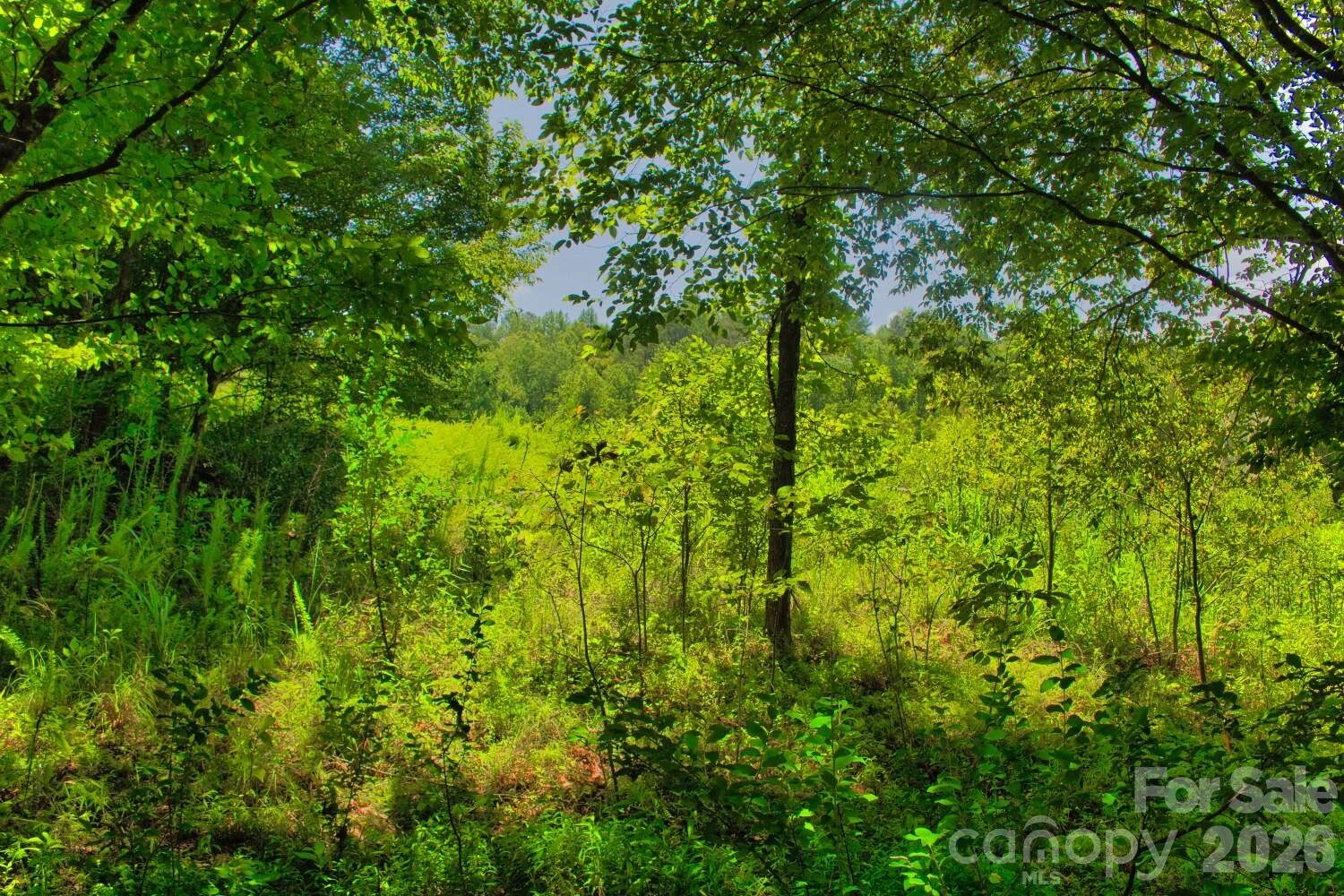 0 Clearwater Parkway #238 - Photo 3