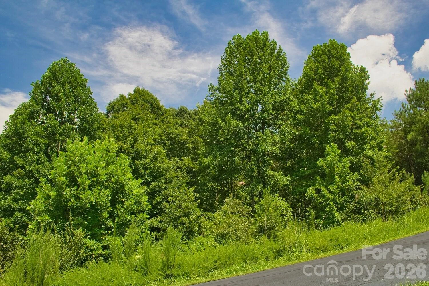 0 Clearwater Parkway #238 - Photo 4