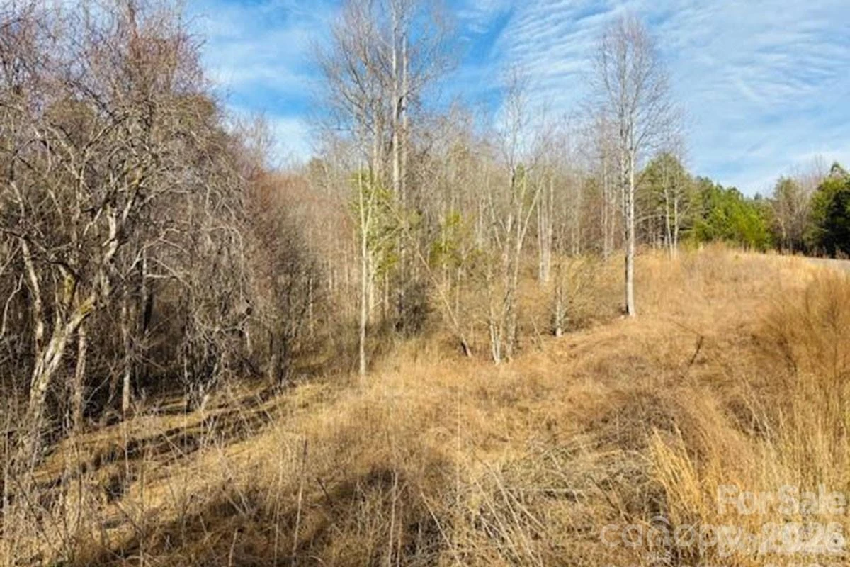 0 Clearwater Parkway #238 - Photo 7