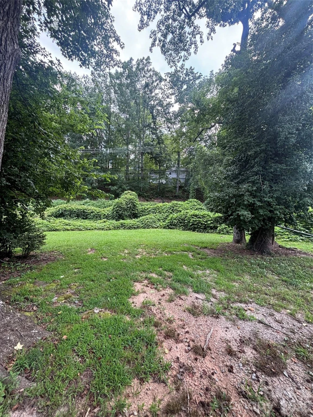40 Beaver Street - Photo 16