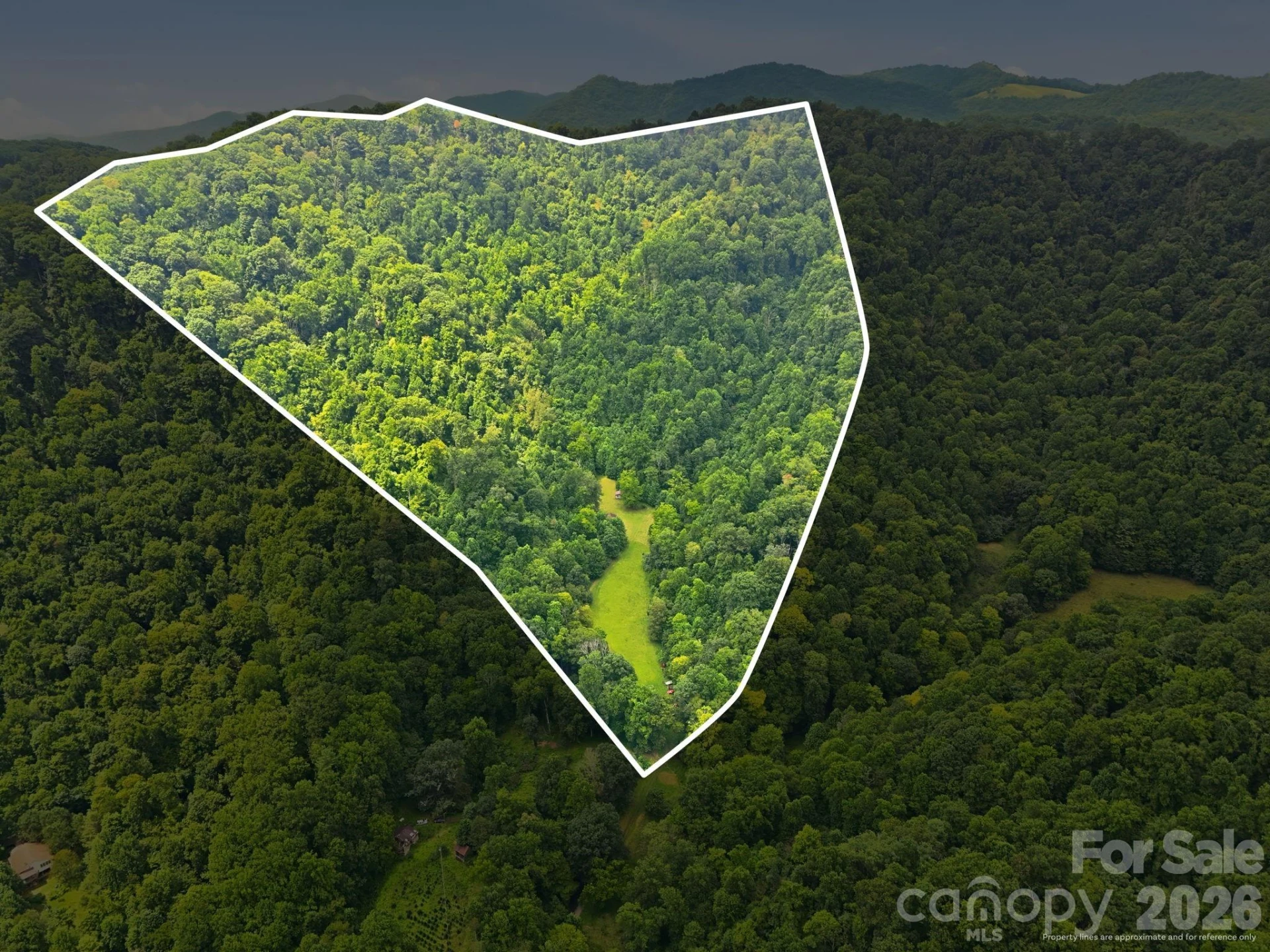 TBD Twin Oaks Road - Photo 2