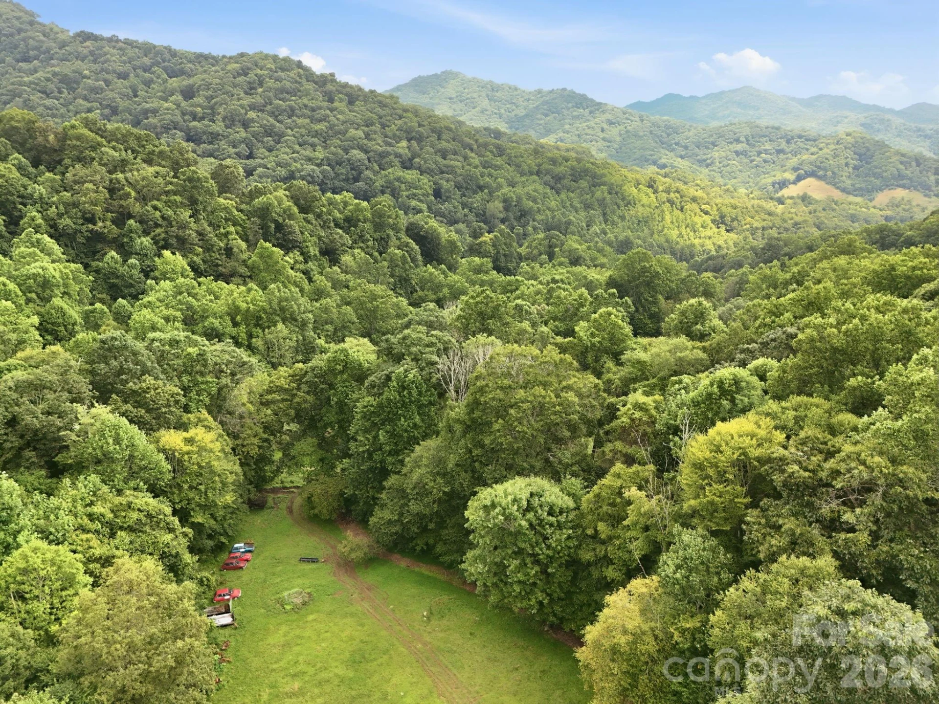 TBD Twin Oaks Road - Photo 5