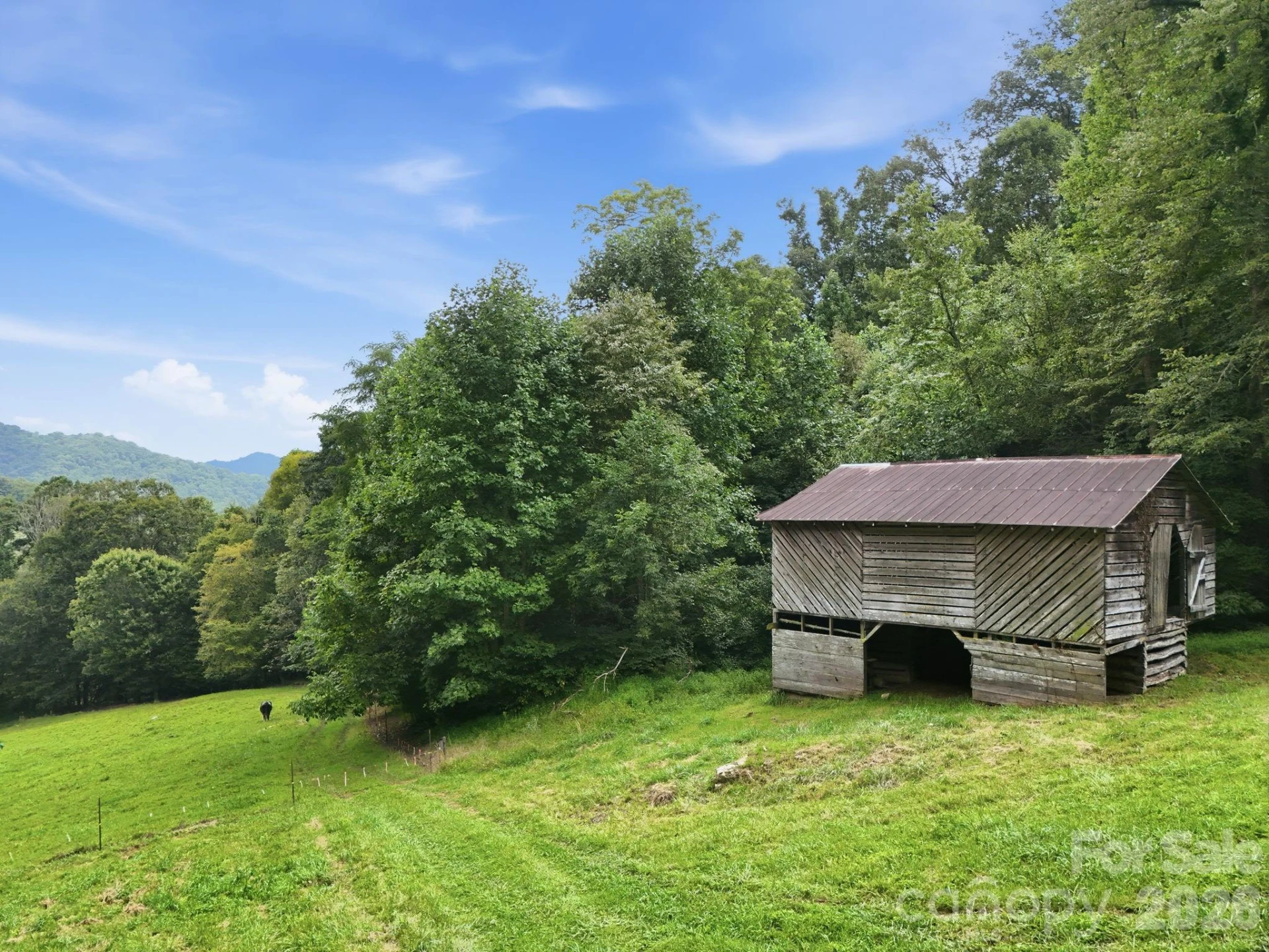 TBD Twin Oaks Road - Photo 6