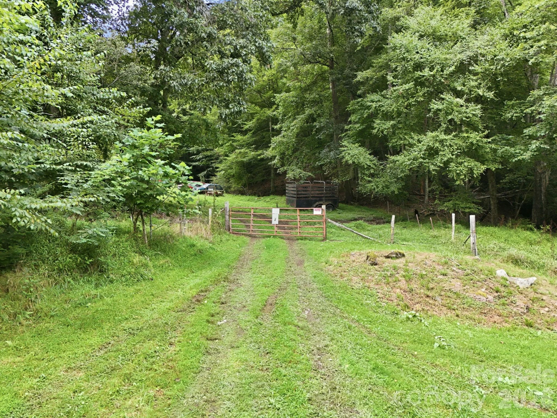 TBD Twin Oaks Road - Photo 7