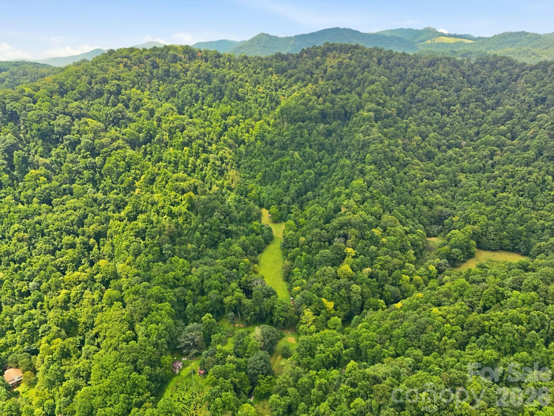 TBD Twin Oaks Road - Photo 10
