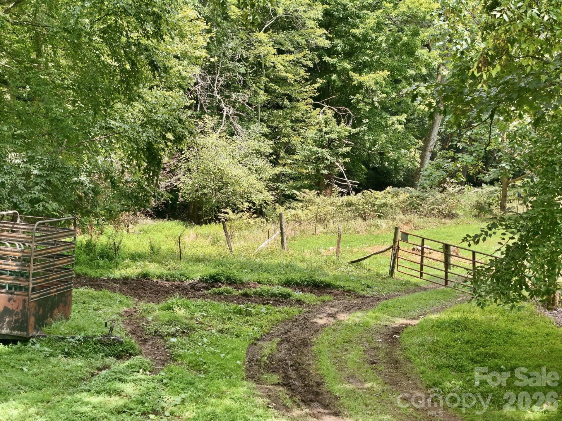 TBD Twin Oaks Road - Photo 11