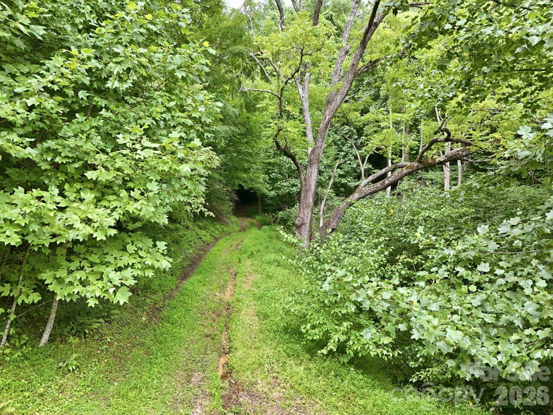 TBD Twin Oaks Road - Photo 12