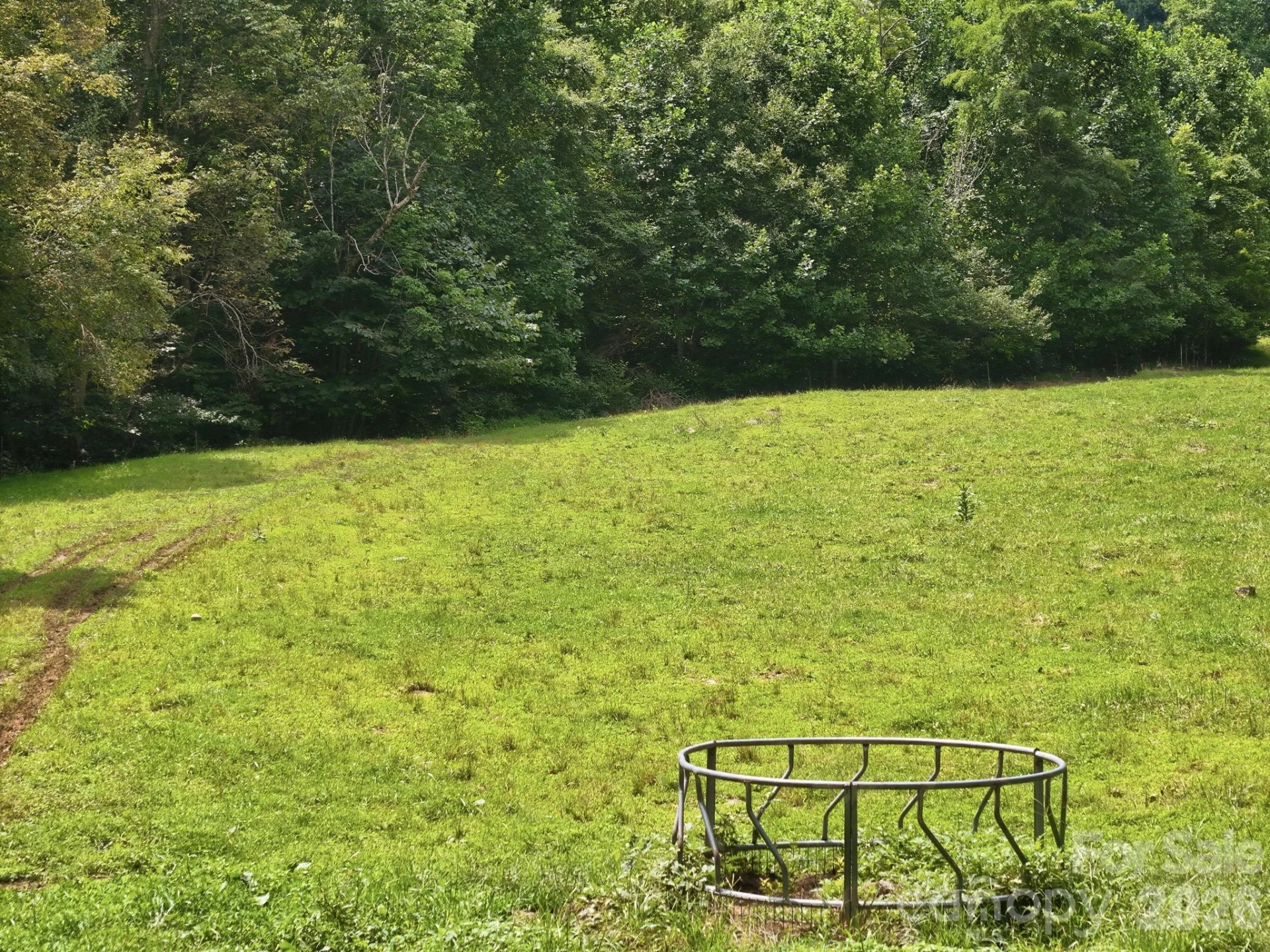 TBD Twin Oaks Road - Photo 13
