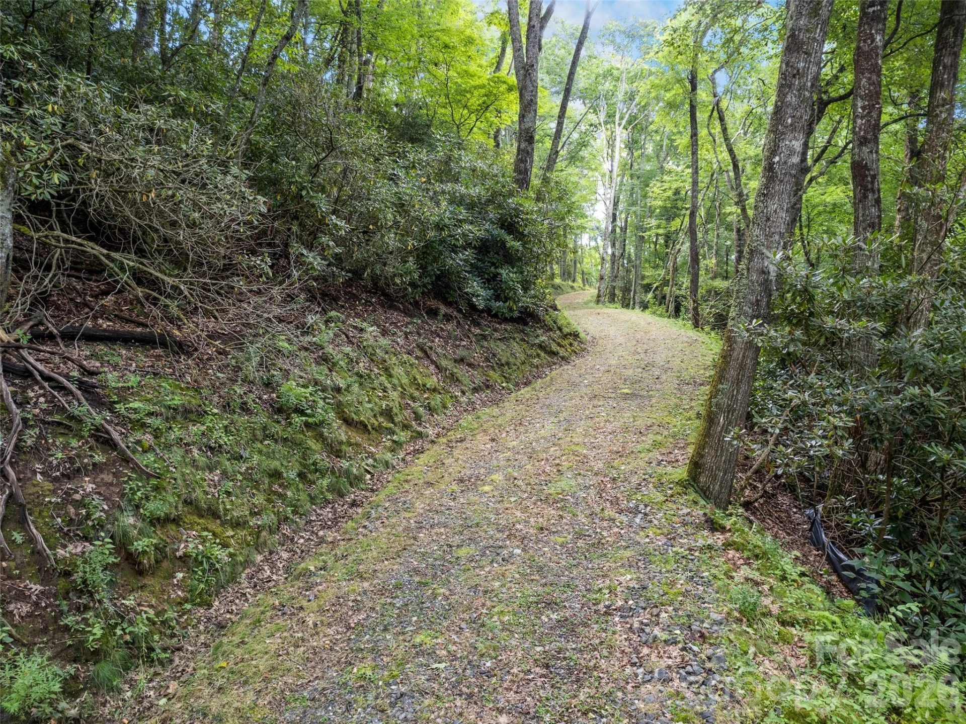 000 Wagon Trail Road - Photo 2