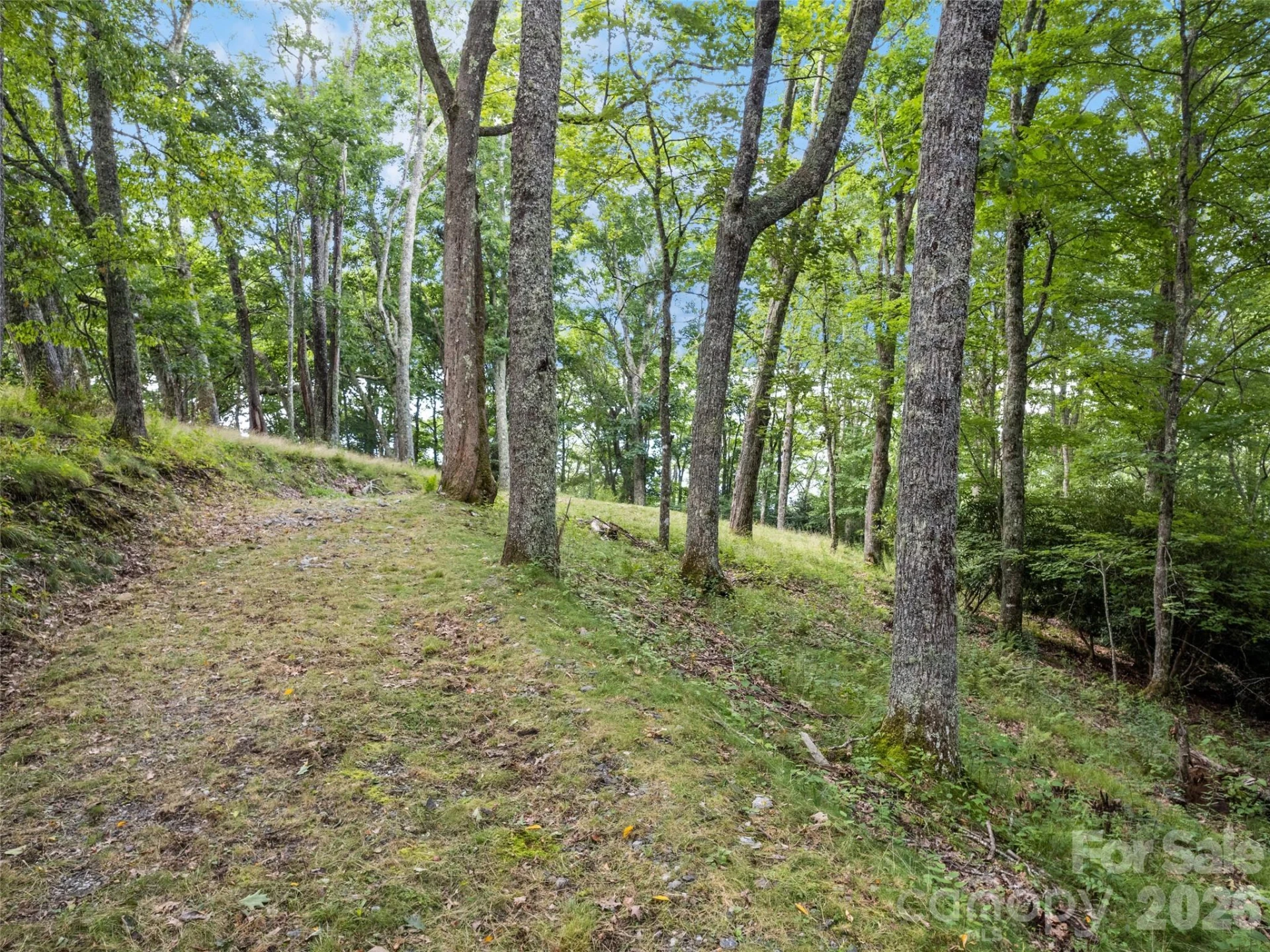 000 Wagon Trail Road - Photo 3